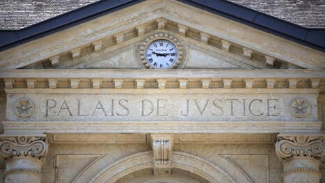 Détective privé : un dresseur de tigres condamné à verser 500.000 euros pour mauvais traitements ...