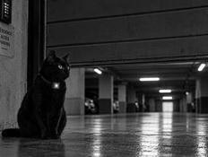 La nuit, tous les parkings (d’habitation) sont ouverts : la géolocalisation sauvée par le code de la sécurité intérieure ...